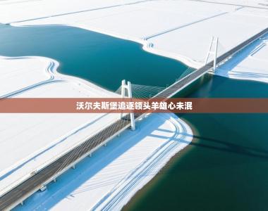 沃尔夫斯堡追逐领头羊雄心未泯