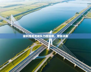 玻利维亚足球队力挫强敌，晋级决赛