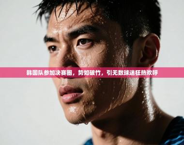 韩国队参加决赛圈，势如破竹，引无数球迷狂热欢呼