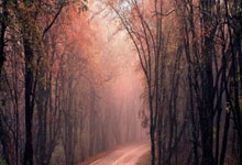 韦德：2010年我本来准备加盟公牛 但我接到了来自勒布朗的电话，韦德在公牛待了几年