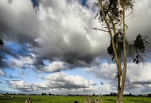 斯基拉：纽卡已向切尔西询问了杰克逊，球员不再是球队核心，纽卡斯尔联队新老板