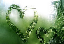 韦德：2010年我本来准备加盟公牛 但我接到了来自勒布朗的电话，韦德在公牛待了几年