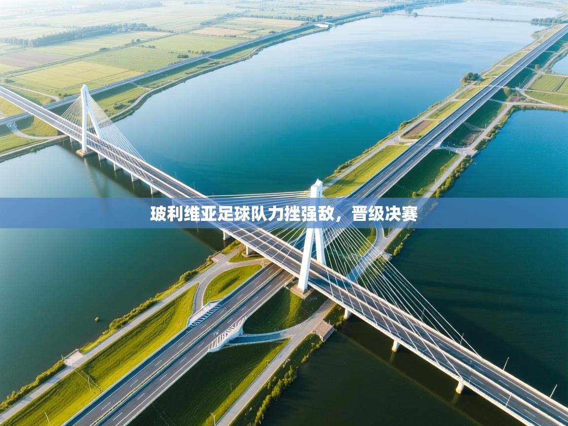 玻利维亚足球队力挫强敌，晋级决赛  第1张